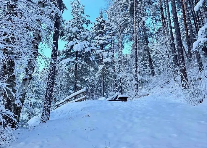 Chalet Refuge-style Mountain View *