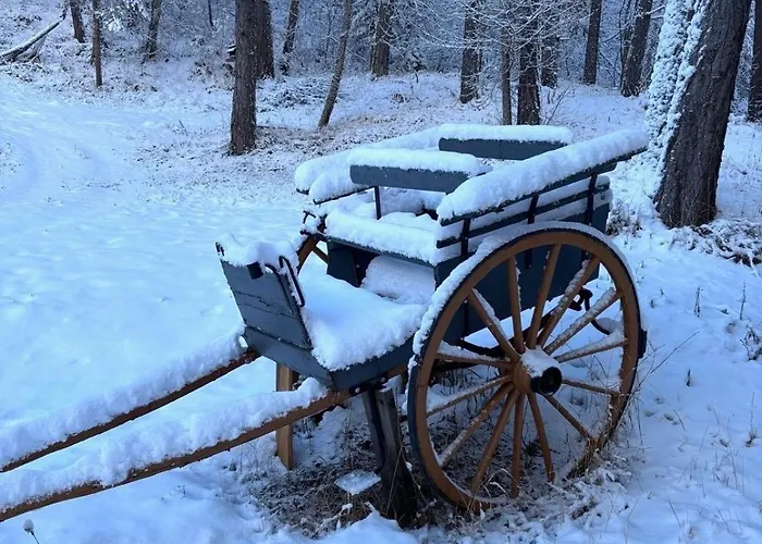 Refuge-style Mountain View